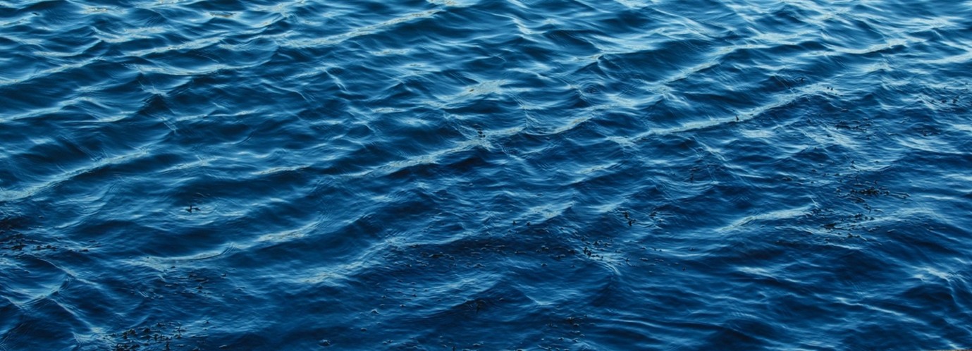 Water supplied by a company is exempt from VAT. True or False?
